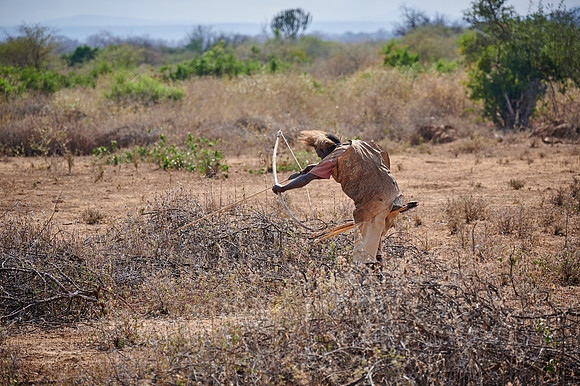 hunting bushmen of Hadza tribe with bow and arrow