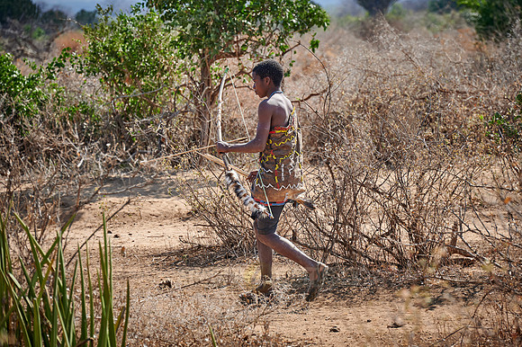 hunting bushmen of Hadza tribe with bow and arrow