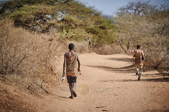hunting bushmen of Hadza tribe with bow and arrow