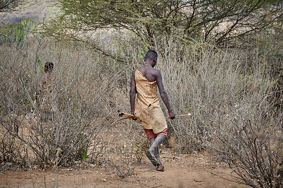 hunting bushmen of Hadza tribe with bow and arrow