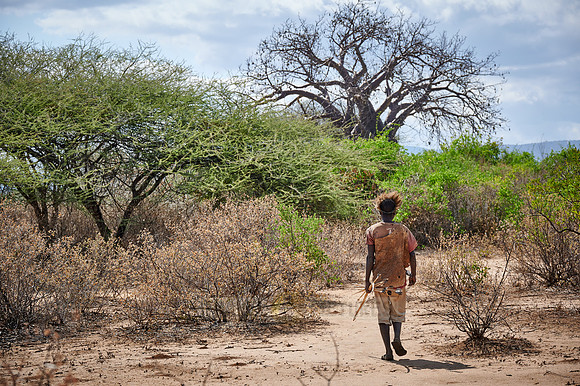 hunting bushmen of Hadza tribe with bow and arrow