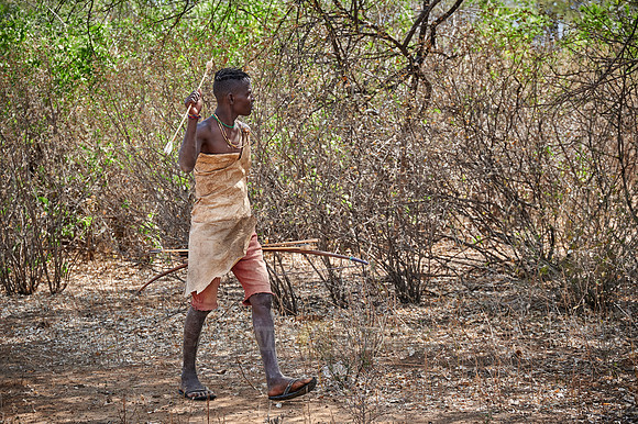 hunting bushmen of Hadza tribe with bow and arrow