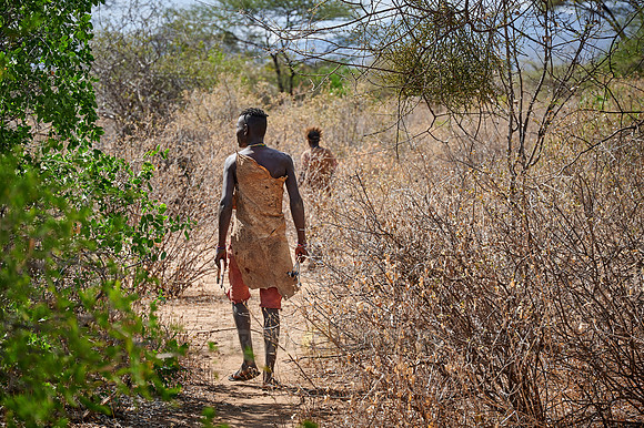 hunting bushmen of Hadza tribe with bow and arrow