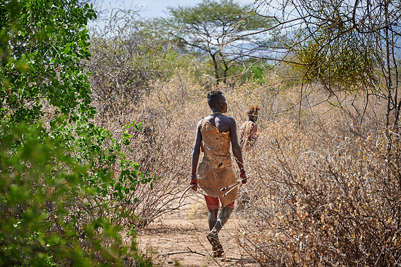 hunting bushmen of Hadza tribe with bow and arrow