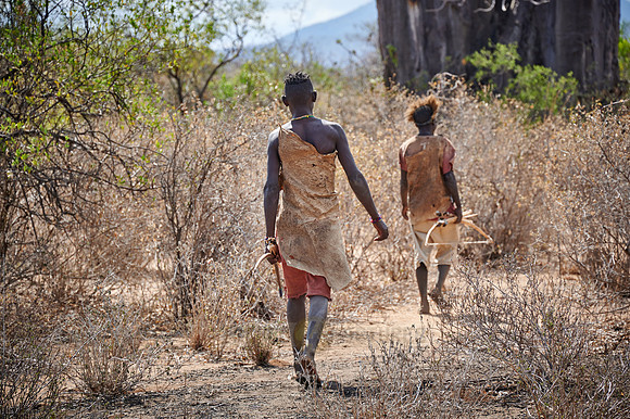 hunting bushmen of Hadza tribe with bow and arrow