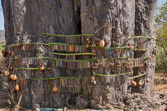 Bushmen jewelry as souvenirs on a baobab