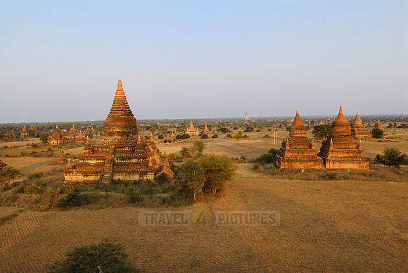 pagodas in the plain