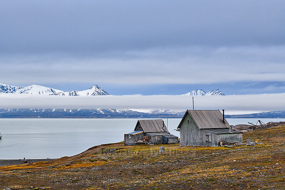 trappers hut Camp Mansfield
