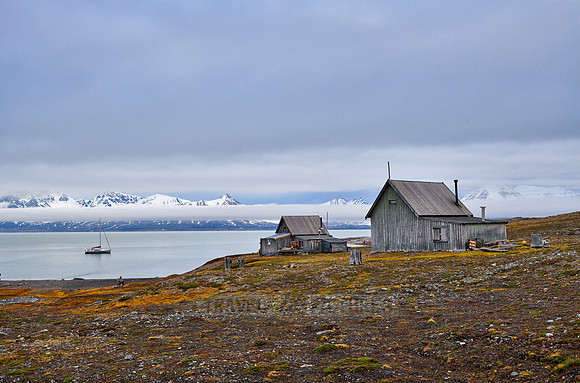 trappers hut Camp Mansfield