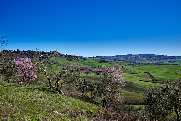 view over landscape of Val de Orcia to Pienza