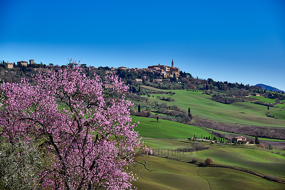 view over landscape of Val de Orcia to Pienza