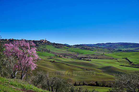 view over landscape of Val de Orcia to Pienza