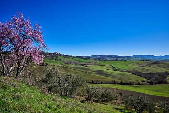 view over landscape of Val de Orcia to Pienza