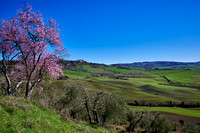 view over landscape of Val de Orcia to Pienza