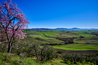 view over landscape of Val de Orcia to Pienza