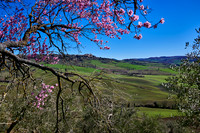 view over landscape of Val de Orcia to Pienza
