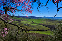 view over landscape of Val de Orcia to Pienza