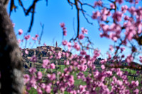 view over landscape of Val de Orcia to Pienza