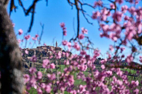 view over landscape of Val de Orcia to Pienza