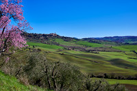 view over landscape of Val de Orcia to Pienza