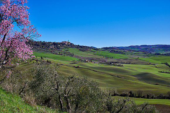 view over landscape of Val de Orcia to Pienza