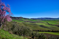 view over landscape of Val de Orcia to Pienza