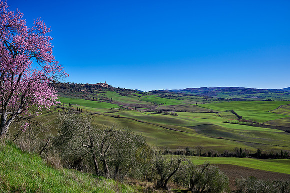 view over landscape of Val de Orcia to Pienza