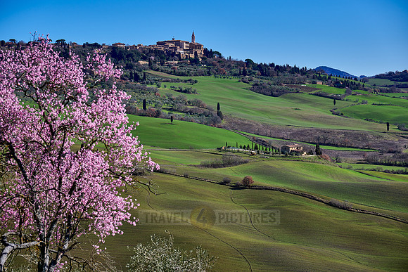 view over landscape of Val de Orcia to Pienza