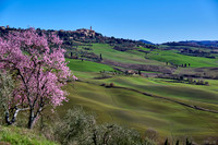 view over landscape of Val de Orcia to Pienza