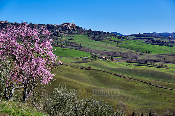 view over landscape of Val de Orcia to Pienza