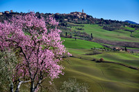 view over landscape of Val de Orcia to Pienza