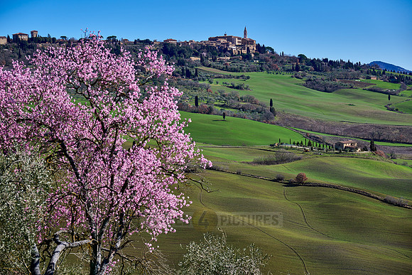 view over landscape of Val de Orcia to Pienza