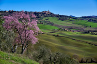 view over landscape of Val de Orcia to Pienza
