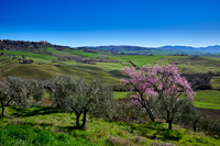 view over landscape of Val de Orcia to Pienza