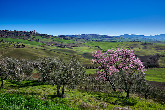 view over landscape of Val de Orcia to Pienza