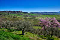 view over landscape of Val de Orcia to Pienza