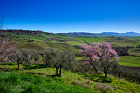 view over landscape of Val de Orcia to Pienza