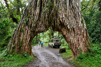 guide with tourist at Fig Tree Arch
