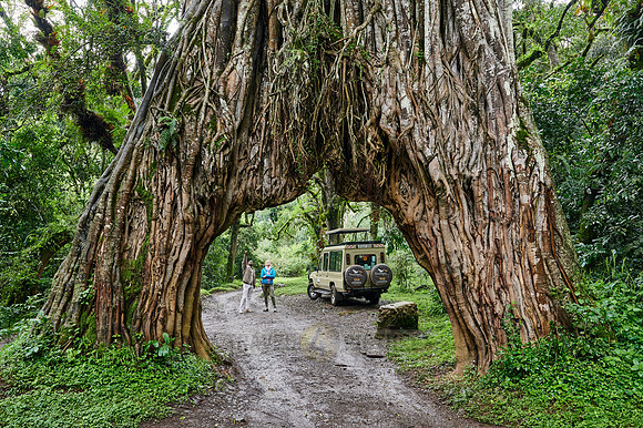 guide with tourist at Fig Tree Arch