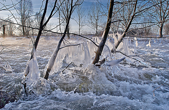landscape shots of the Roer River in winter