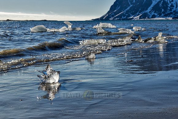 ice floes of glacier Gullybreen