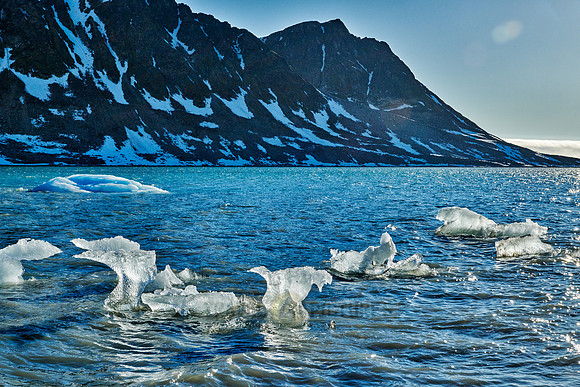 ice floes of glacier Gullybreen