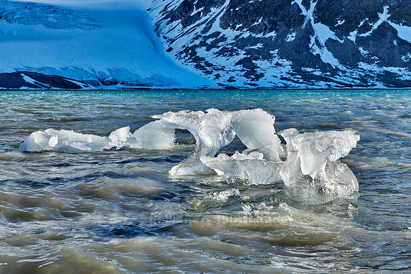 ice floes of glacier Gullybreen