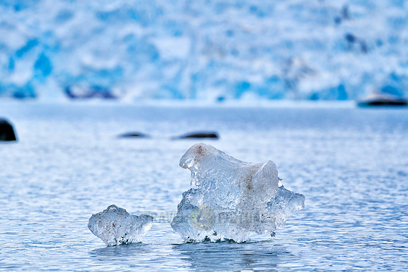 small pieces of ice floating in front of glacier