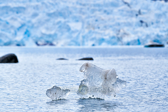 small pieces of ice floating in front of glacier