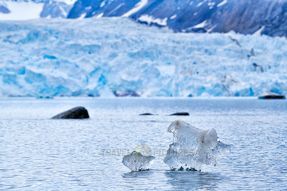 small pieces of ice floating in front of glacier
