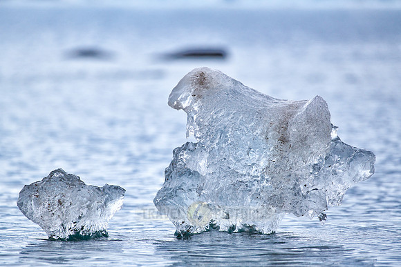 small pieces of ice floating in front of glacier