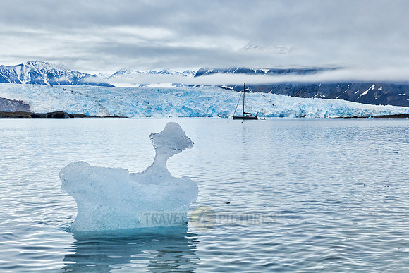 small pieces of ice floating in front of glacier