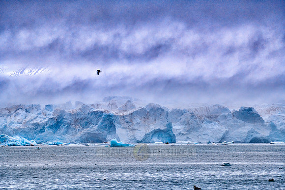 blue ice of Kronebreen or Crown glacier