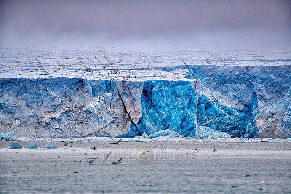 blue ice of Kronebreen or Crown glacier